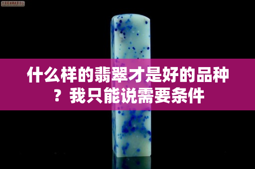 什么样的翡翠才是好的品种？我只能说需要条件