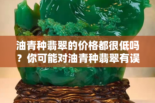 油青种翡翠的价格都很低吗？你可能对油青种翡翠有误解哦