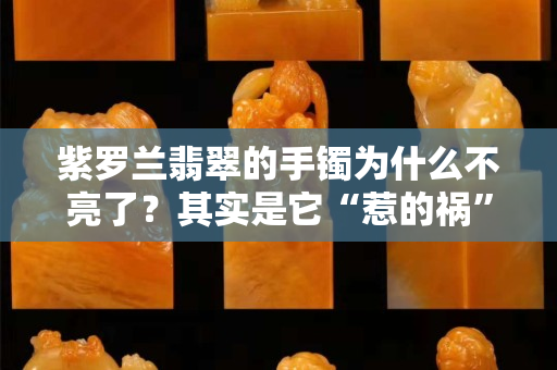 紫罗兰翡翠的手镯为什么不亮了？其实是它“惹的祸”...