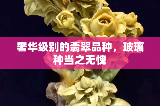 奢华级别的翡翠品种，玻璃种当之无愧