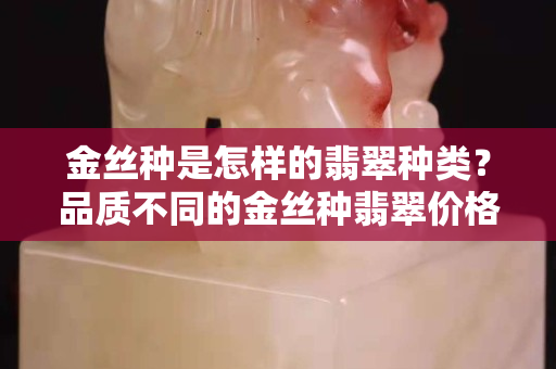金丝种是怎样的翡翠种类？品质不同的金丝种翡翠价格也不同哦