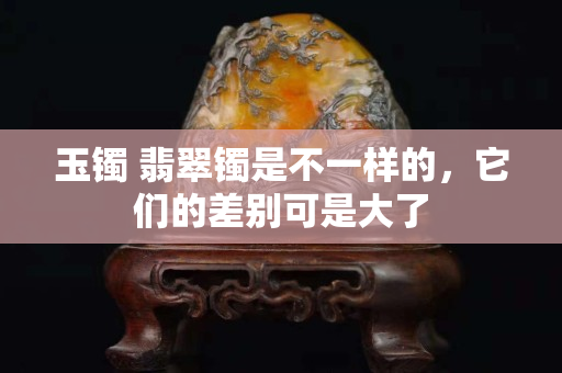 玉镯 翡翠镯是不一样的，它们的差别可是大了