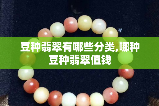 豆种翡翠有哪些分类,哪种豆种翡翠值钱
