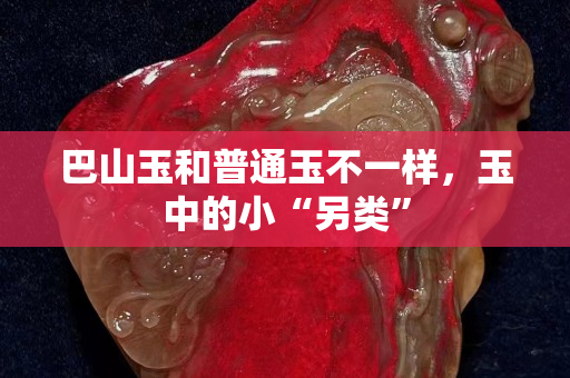 巴山玉和普通玉不一样，玉中的小“另类”