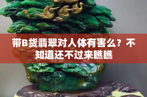 带B货翡翠对人体有害么？不知道还不过来瞧瞧