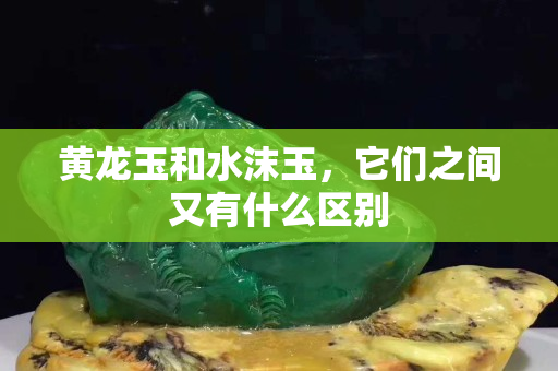 黄龙玉和水沫玉，它们之间又有什么区别