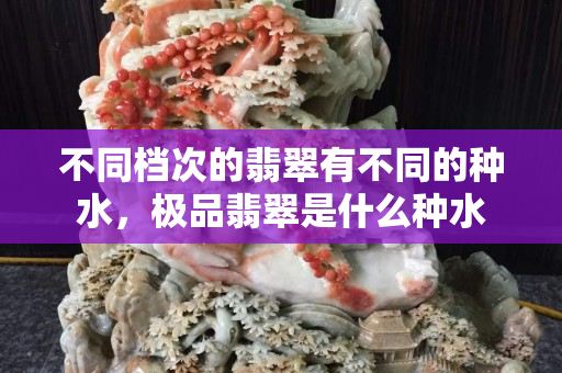 不同档次的翡翠有不同的种水，极品翡翠是什么种水