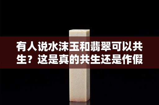 有人说水沫玉和翡翠可以共生？这是真的共生还是作假呢？