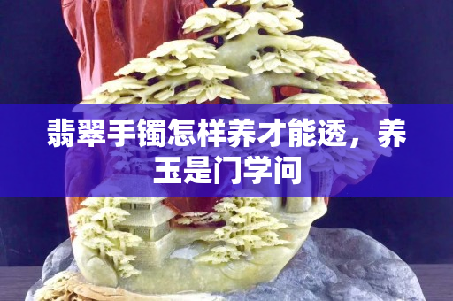翡翠手镯怎样养才能透，养玉是门学问