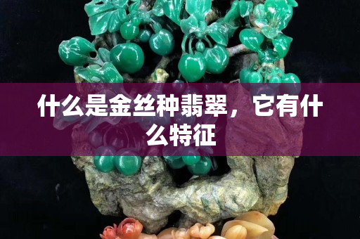 什么是金丝种翡翠，它有什么特征