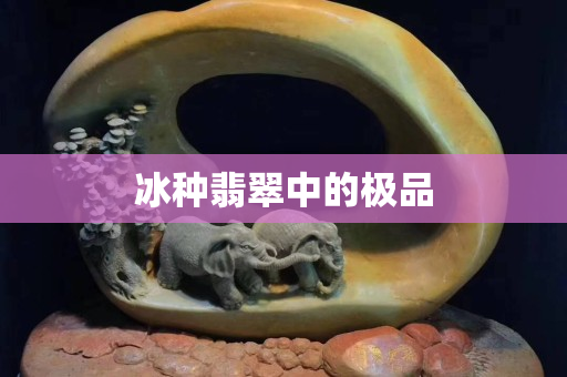 冰种翡翠中的极品
