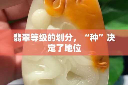 翡翠等级的划分，“种”决定了地位