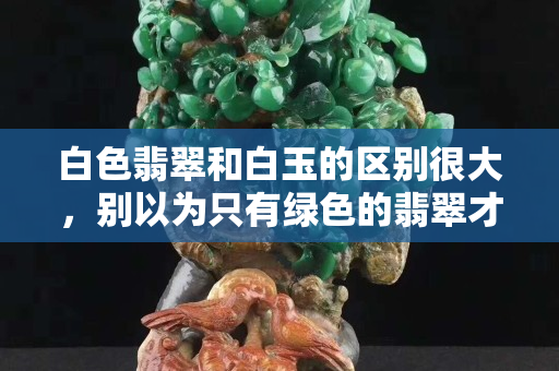 白色翡翠和白玉的区别很大，别以为只有绿色的翡翠才是真翡翠
