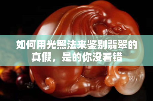 如何用光照法来鉴别翡翠的真假，是的你没看错