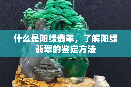 什么是阳绿翡翠，了解阳绿翡翠的鉴定方法