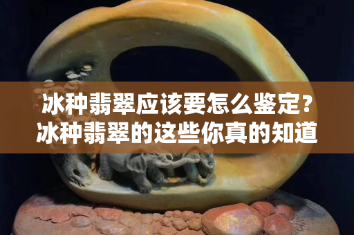 冰种翡翠应该要怎么鉴定？冰种翡翠的这些你真的知道嘛