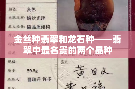 金丝种翡翠和龙石种——翡翠中最名贵的两个品种