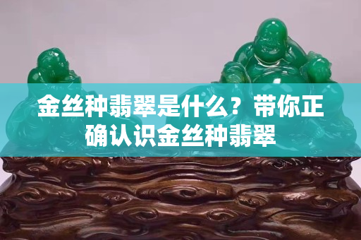 金丝种翡翠是什么？带你正确认识金丝种翡翠