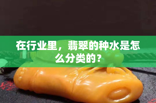 在行业里，翡翠的种水是怎么分类的？