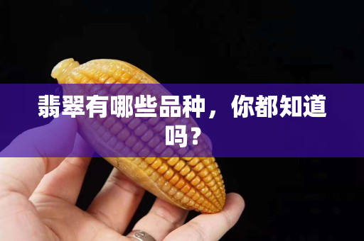 翡翠有哪些品种，你都知道吗？
