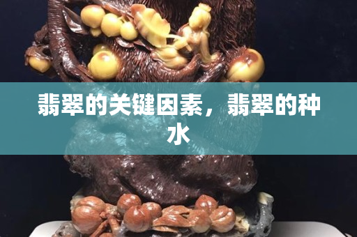 翡翠的关键因素，翡翠的种水