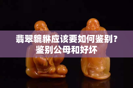 翡翠貔貅应该要如何鉴别？鉴别公母和好坏