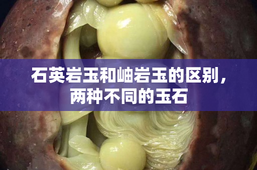 石英岩玉和岫岩玉的区别，两种不同的玉石