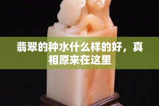 翡翠的种水什么样的好，真相原来在这里