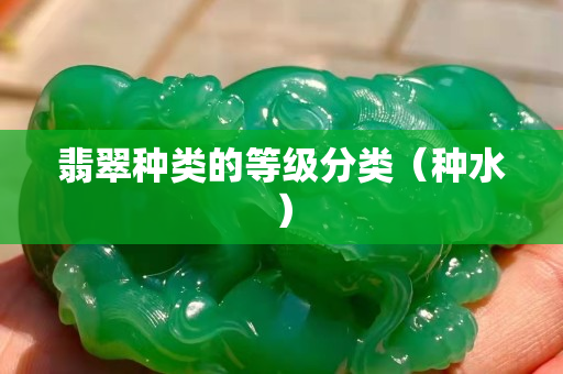 翡翠种类的等级分类（种水）