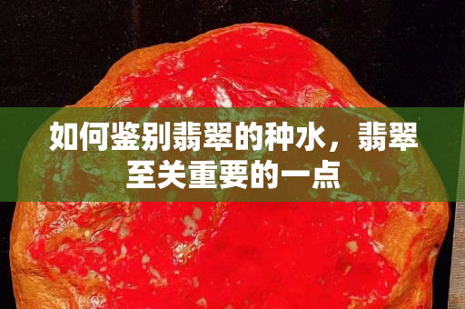 如何鉴别翡翠的种水，翡翠至关重要的一点
