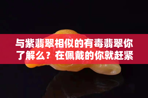 与紫翡翠相似的有毒翡翠你了解么？在佩戴的你就赶紧扔了吧！
