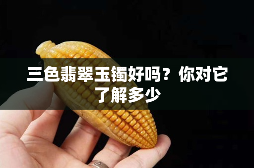 三色翡翠玉镯好吗？你对它了解多少