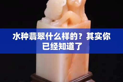 水种翡翠什么样的？其实你已经知道了