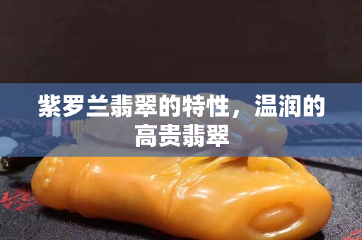 紫罗兰翡翠的特性，温润的高贵翡翠