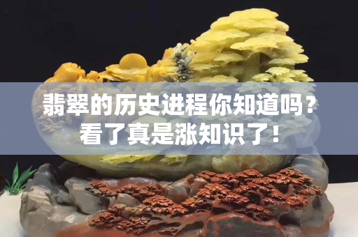 翡翠的历史进程你知道吗？看了真是涨知识了！