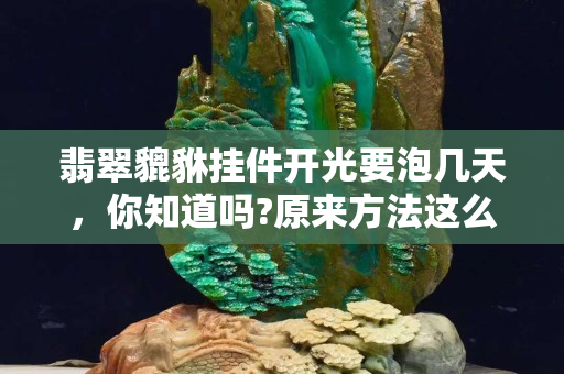 翡翠貔貅挂件开光要泡几天，你知道吗?原来方法这么多啊！