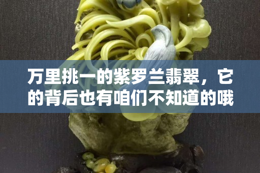 万里挑一的紫罗兰翡翠，它的背后也有咱们不知道的哦！