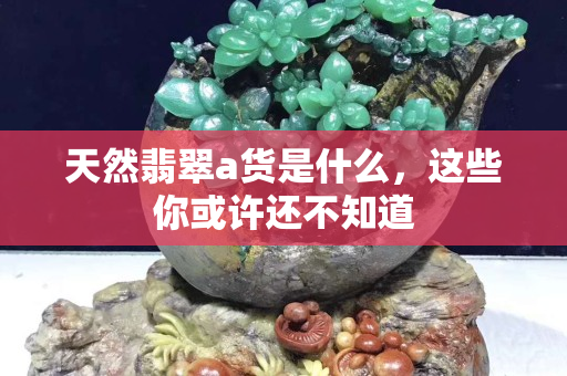 天然翡翠a货是什么，这些你或许还不知道
