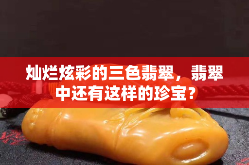 灿烂炫彩的三色翡翠，翡翠中还有这样的珍宝？