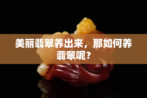 美丽翡翠养出来，那如何养翡翠呢？