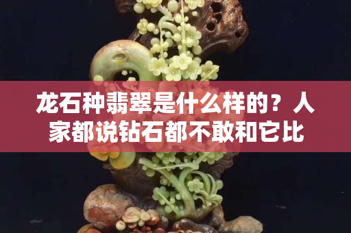 龙石种翡翠是什么样的？人家都说钻石都不敢和它比
