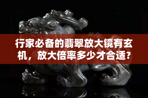 行家必备的翡翠放大镜有玄机，放大倍率多少才合适？