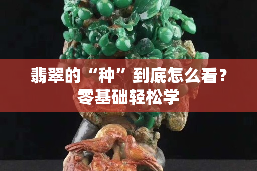 翡翠的“种”到底怎么看？零基础轻松学