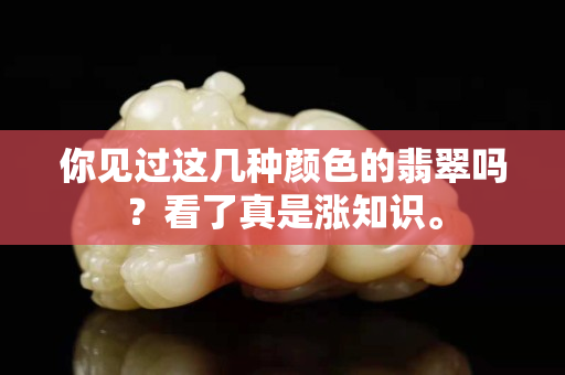 你见过这几种颜色的翡翠吗？看了真是涨知识。