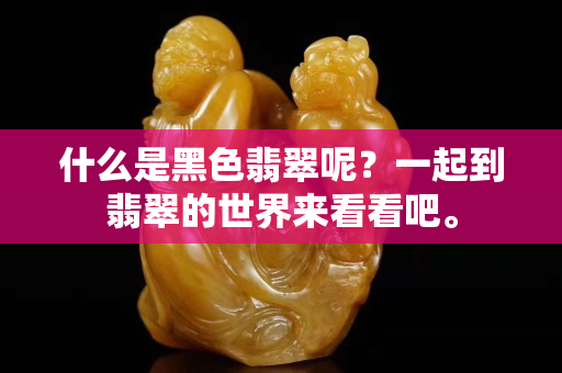 什么是黑色翡翠呢？一起到翡翠的世界来看看吧。
