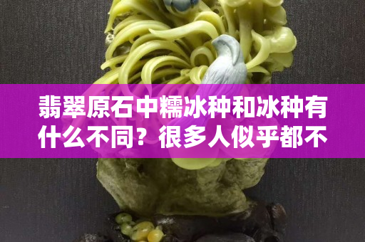 翡翠原石中糯冰种和冰种有什么不同？很多人似乎都不了解它们