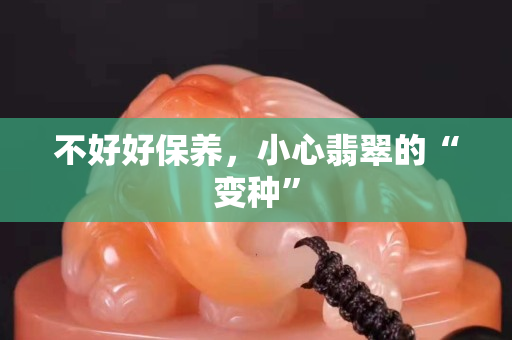 不好好保养，小心翡翠的“变种”