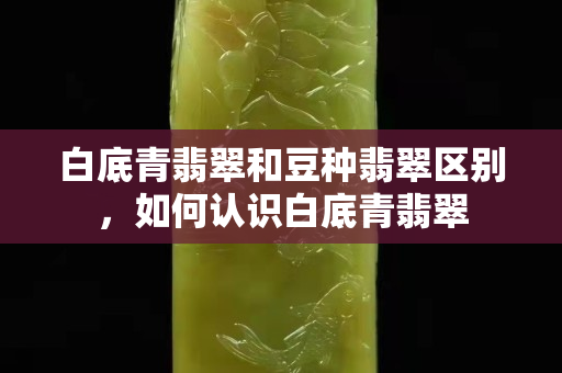 白底青翡翠和豆种翡翠区别，如何认识白底青翡翠