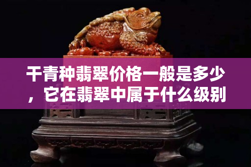 干青种翡翠价格一般是多少，它在翡翠中属于什么级别