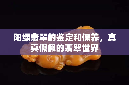 阳绿翡翠的鉴定和保养，真真假假的翡翠世界
